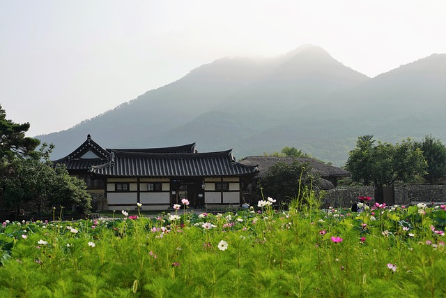 Korea tourist visa requirements - Visa Guide