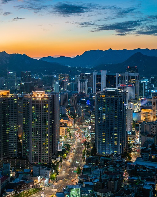 Korea visa for Indonesian students - Visa Guide