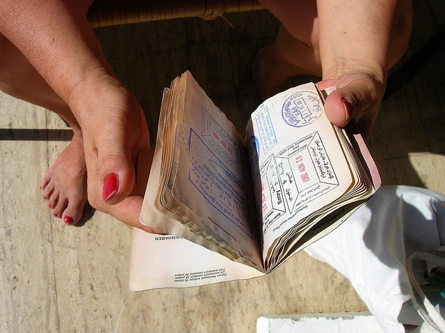 Korea visa multiple entry vs single entry - Visa Guide