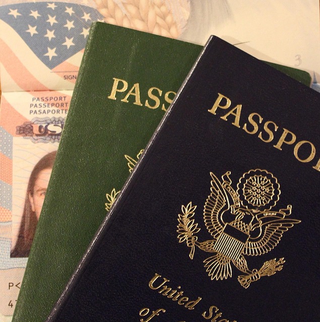 Korea visa passport renewal during stay - Visa Guide