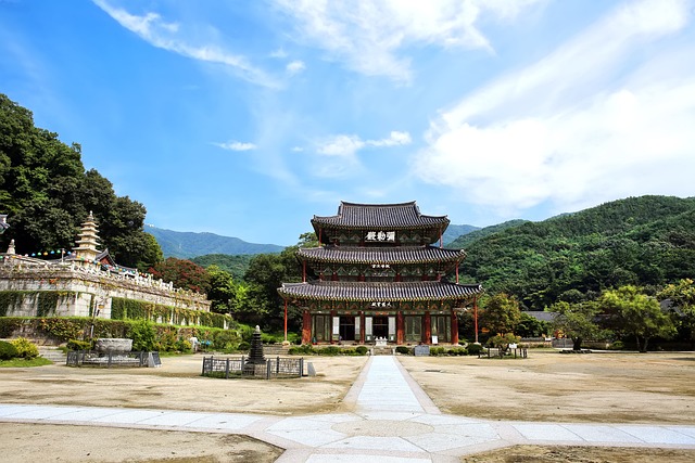 Korea visa sponsor company requirements - Visa Guide