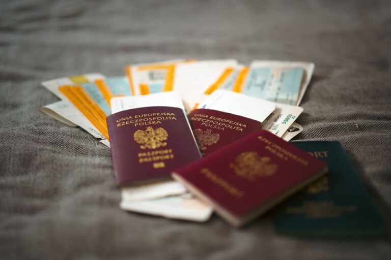 Visa sponsorship cancellation remedy - Visa Guide